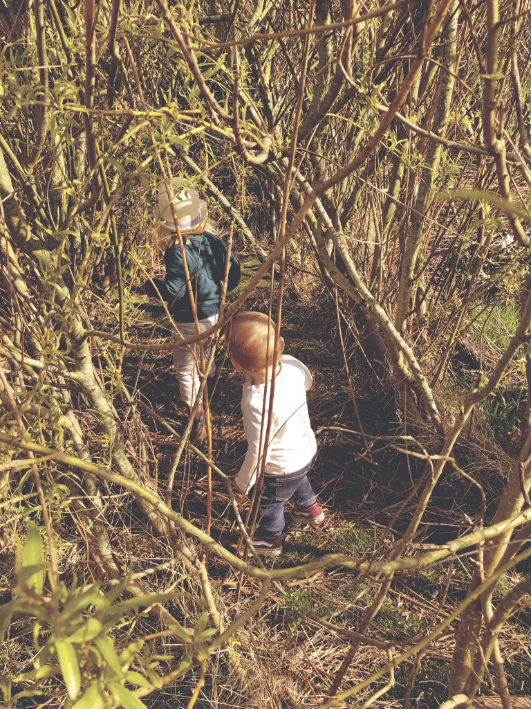 Avonturenpaadje labyrint Nirwana