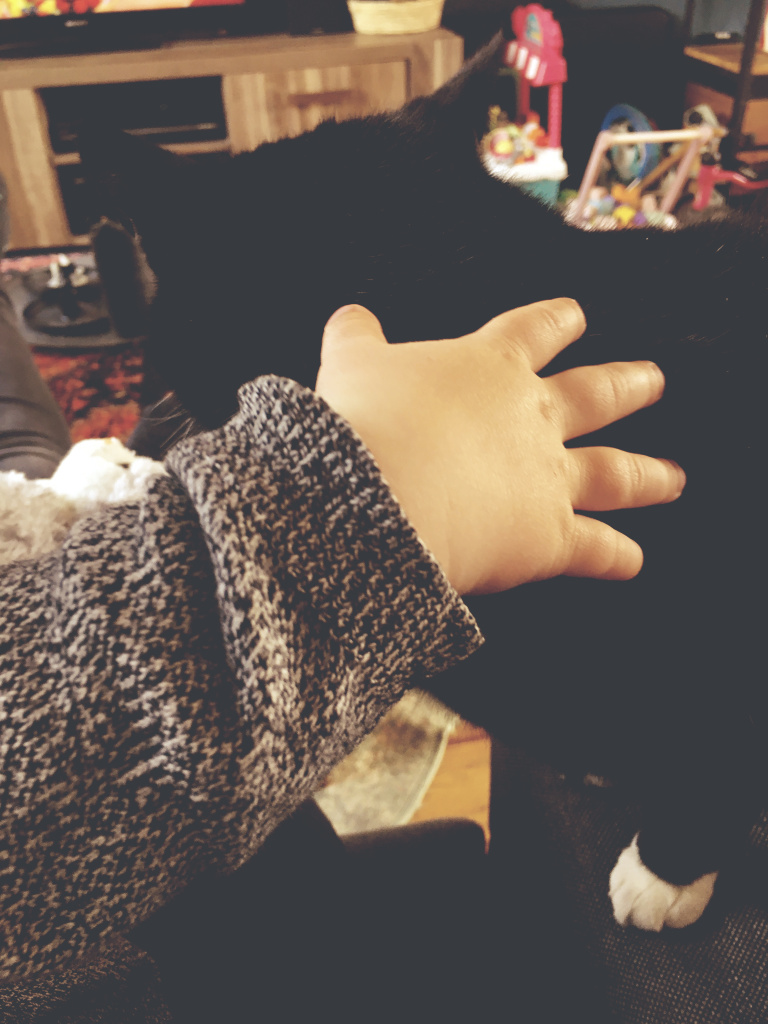 Joris en Charlie de kat