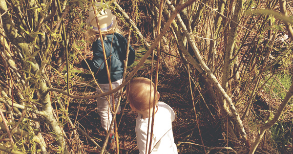 Bamboelabyrint Nirwana De Kwakel