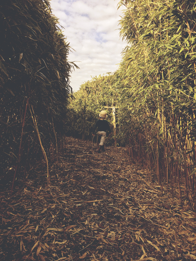 bamboelabyrint nirwana de Kwakel