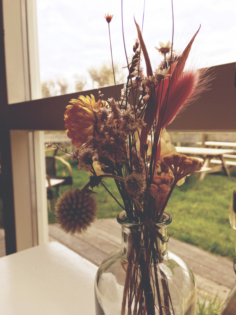 Droogbloemen