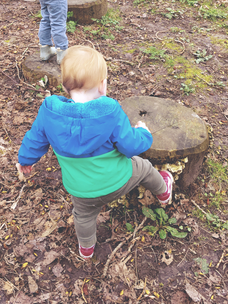 Boomstammen avonturenpaadjes