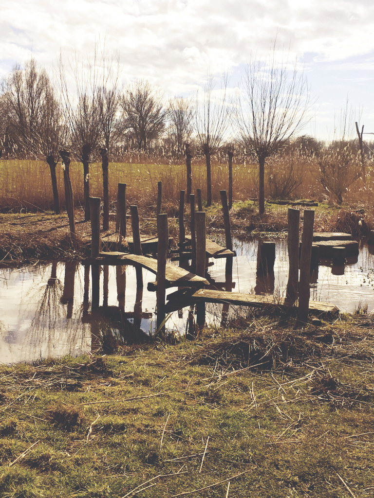 Avonturenpaadjes in de natuurspeeltuin